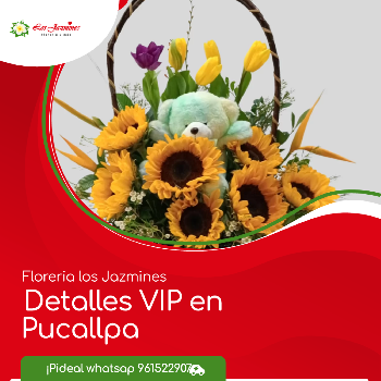 Detalles Pucallapa
